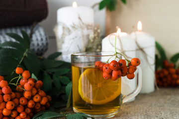 sea-buckthorn tea with lemon. autumn concept with rowan