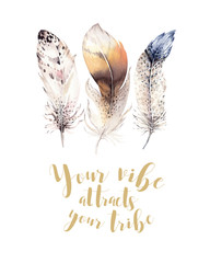Hand drawn watercolor paintings vibrant feather set. Boho style wings. illustration isolated on white. Bird fly design for T-shirt, invitation, wedding card. Rustic Owl decoration