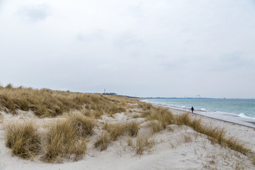 eine Person geht an der Ostsee spazieren, vorbei an Dünengras