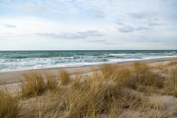 Fototapeta na wymiar Dünengras weht im Wind und im Hintergrund ist das Meer zu sehen