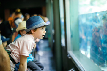Little kid boy admire different reptiles and fishes in aquarium