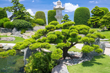 Beautiful garden in the ecotourism is designed in harmony with many cypress, pine, stone, water and ancient trees bearing the traditional culture of traditional Japanese gardens.