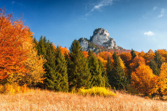 Autumn landscape with a blue sky with puffs, rocks and trees in fall colors in the national park Mala Fatra, Slovakia, Europe.