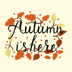 Modern brush phrase autumn is here. Background with the image of a leaf fall. Autumn with leaves.