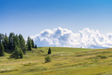 Mountain landscape with hikers walking in the meadow