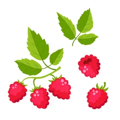 Poster Set of cartoon raspberry with green leaves isolated on white © uiliaaa