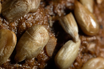 Texture of rye bread with sunflower seeds, macro