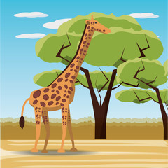 giraffe icon over africa jungles landscape colorful design vector illustration