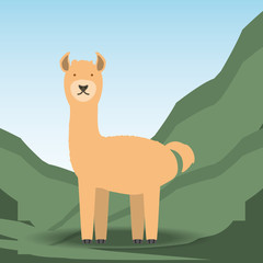 alpaca icon over mountains background colorful design vector illustration