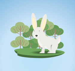 cute rabbit icon over trees and blue background colorful design vector illustration