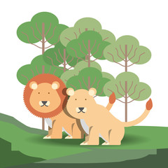 Obraz na płótnie Canvas lion and tiger icon over forest and white background colorful design vector illustration