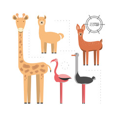 wild animals icon set over white background colorful design vector illustration