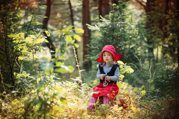 Little Red Riding Hood in the woods