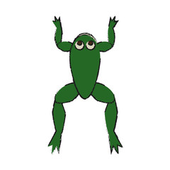 Toad cartoon of animal and nature theme Isolated design Vector illustration