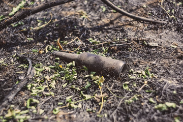 A glass beer bottle lies on the scorched ground
