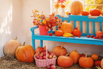 pumpkins on blue wooden bench indoor