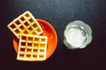 delicious waffle on a plate with the cup of milk,