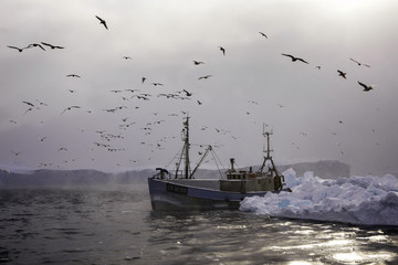 fishing boat of Greenland  © Sarah
