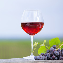 Verre de vin rouge et grappe de raisin noir