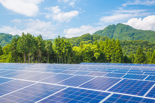 太陽光発電のパネル群