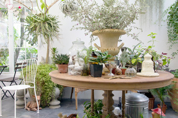 Trees and home decoration