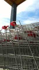 Carrelli per fare la spesa al supermercato