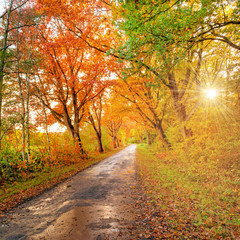 autumn in East Frisia