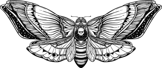 black and white deadhead butterfly doodle illustration