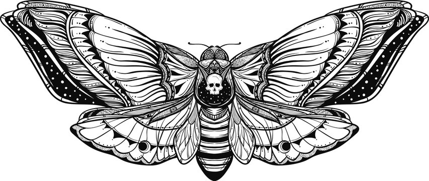 black and white deadhead butterfly doodle illustration