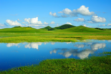 Grassland scenery under blue sky
