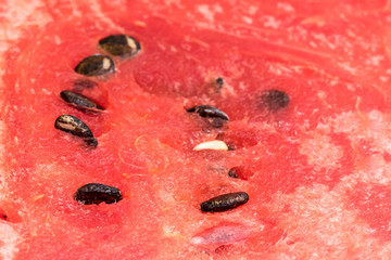 Detail shot of sliced watermelon