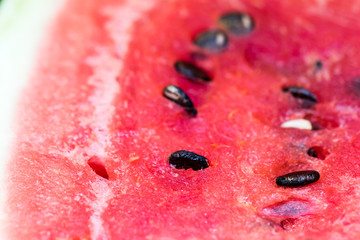 Detail shot of sliced watermelon