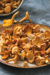 Heap of fresh uncooked forest mushrooms chanterelle in old pan over gray texture background.