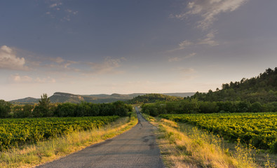 Naklejka premium Sunset in the South of France