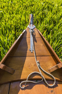 Punter Boat and Waterplants