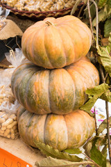 Pile of Pumpkins