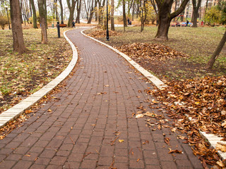 Footpath in the park in autumn