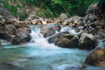Beautiful mountain stream, river with rapids, forest and stones