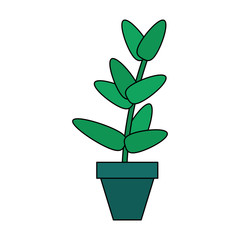 potted plant icon image vector illustration design 
