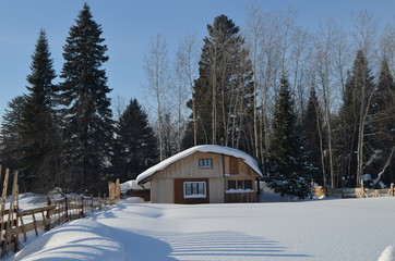 Домик в лесу под снегом