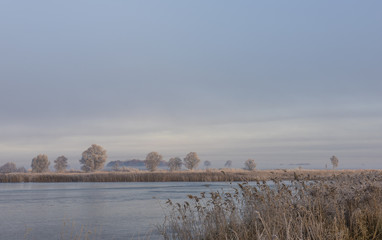 Winter Morning in Weerribben Wieden
