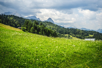 German Alps Summer Landscape With Meadows