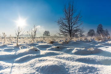 Winter landscape with snow on field and sky with sun star in the morning