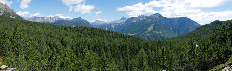 Fototapeta na wymiar Alpine landscape in summer in Valtellina, northern Italy.