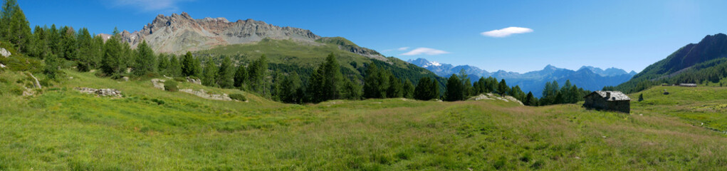 Fototapeta na wymiar Alpine landscape in summer in Valmalenco, northern Italy.