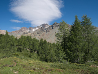 Alpine landscape with tall mountains and pasture in summer in Valmalenco, northern Italy.