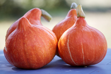 Pumpkins