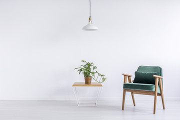 Room with green vintage armchair