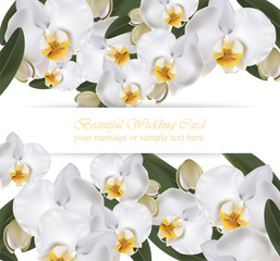 Orchid flowers card banner poster realistic background Vector illustration
