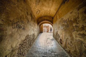 Obraz premium Architectural wonders of Siena